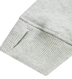 Abercrombie & Fitch Hættetrøje - Lysegråmeleret m. Print