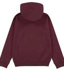 Abercrombie & Fitch Hættetrøje - Fig