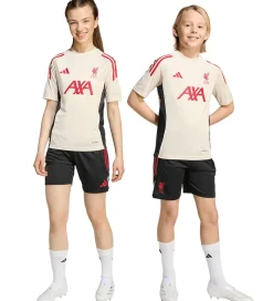 adidas Performance Shorts - Liverpool - Sort