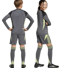 adidas Performance Shorts - Manchester United - Grefiv