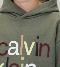 Calvin Klein Hættetrøje - Color Logo - Thyme Green
