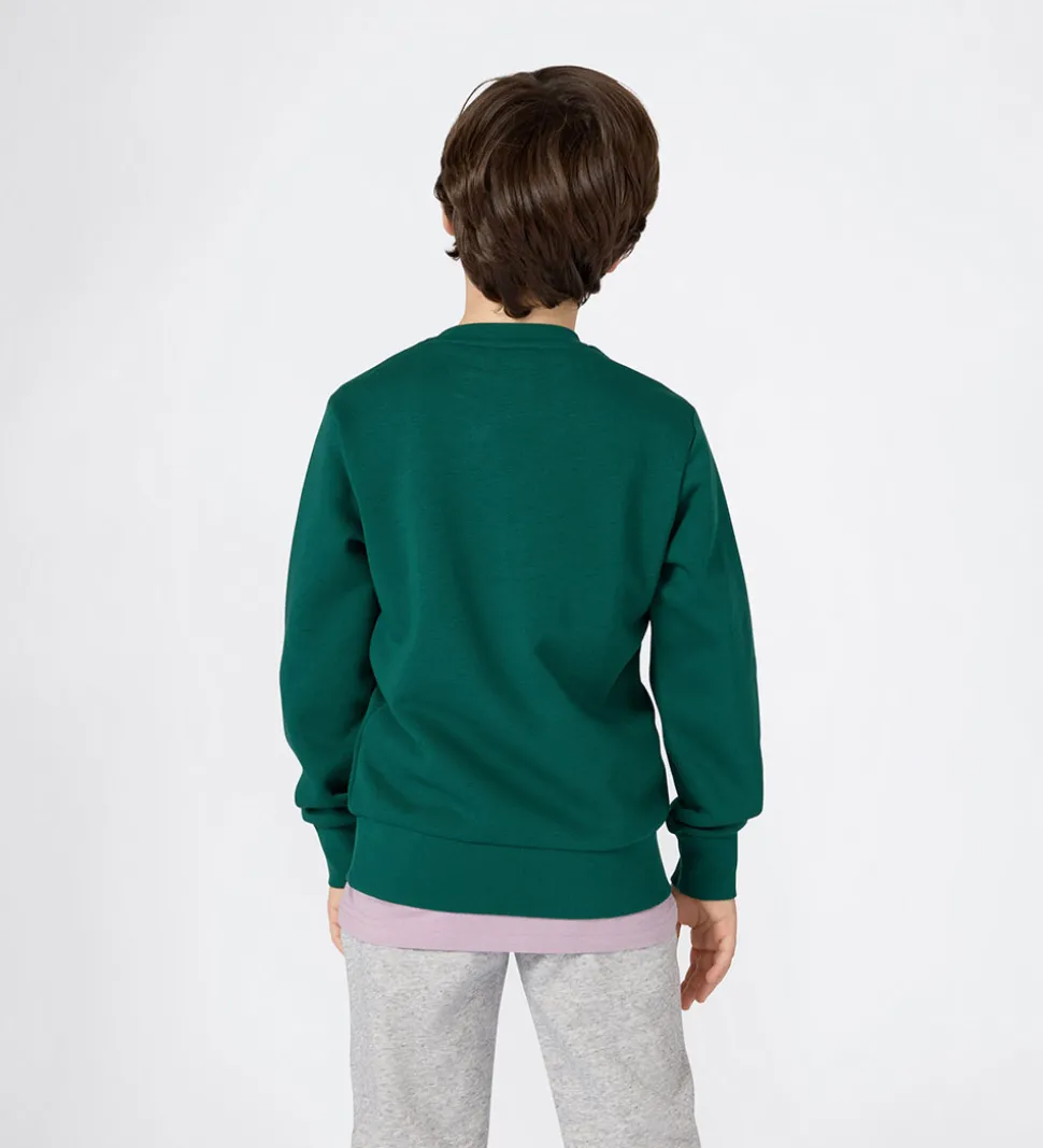 Champion Sweatshirt - Forest Peak Green