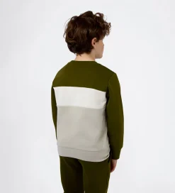 Champion Sweatshirt - Immersive Olive