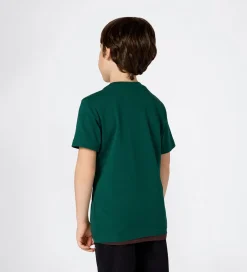 Champion T-shirt - Forest Peak Green