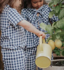 Fliink Shorts - Cargo - Zorro - Insignia Sandshell Check