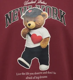 Kids Only Sweatshirt - KogLinda - Cabernet/New York Teddy