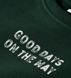 Name It Sweatshirt - NmmSlade - Pine Grove