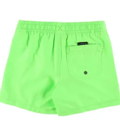 Quiksilver Badeshorts - Everyday - Green Gecko