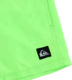 Quiksilver Badeshorts - Everyday - Green Gecko