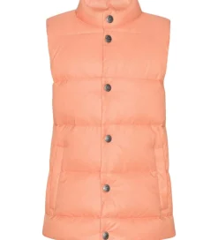 Ver de Terre Dunvest - Peach